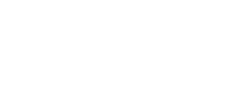 www.fahrschulegalopp.de