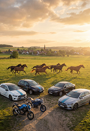 www.fahrschulegalopp.de